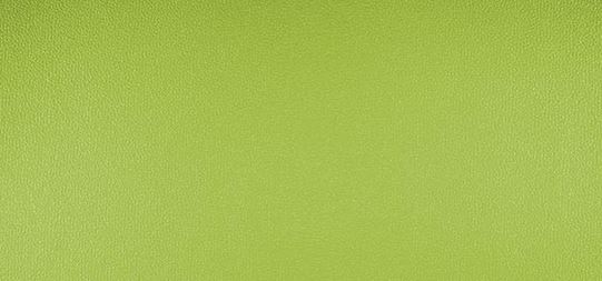 Allgera uni green – 230×3718